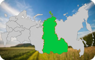 Восточно-Сибирский регион